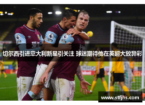 切尔西引进意大利新星引关注 球迷期待他在英超大放异彩