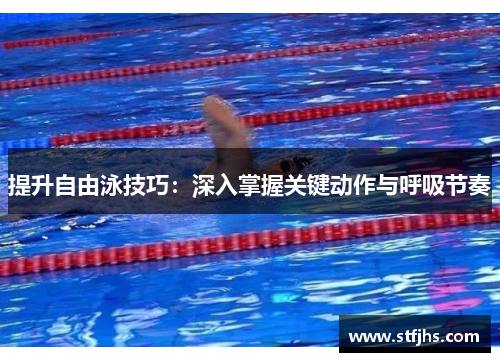 提升自由泳技巧：深入掌握关键动作与呼吸节奏