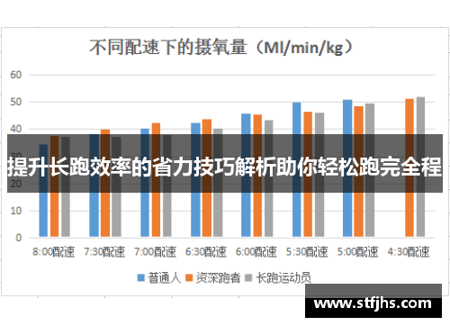 提升长跑效率的省力技巧解析助你轻松跑完全程
