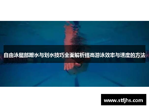 自由泳腿部蹬水与划水技巧全面解析提高游泳效率与速度的方法