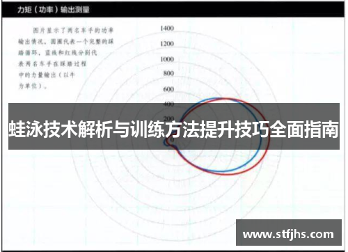 蛙泳技术解析与训练方法提升技巧全面指南