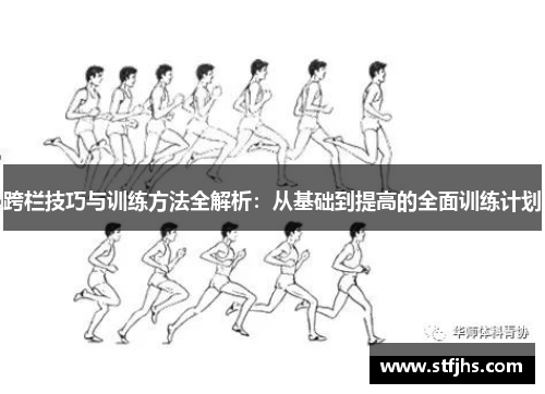 跨栏技巧与训练方法全解析：从基础到提高的全面训练计划