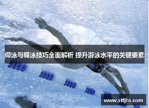 仰泳与蝶泳技巧全面解析 提升游泳水平的关键要素
